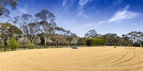 arena 500x250