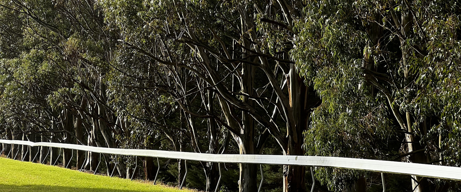 track fence hero thumbnail